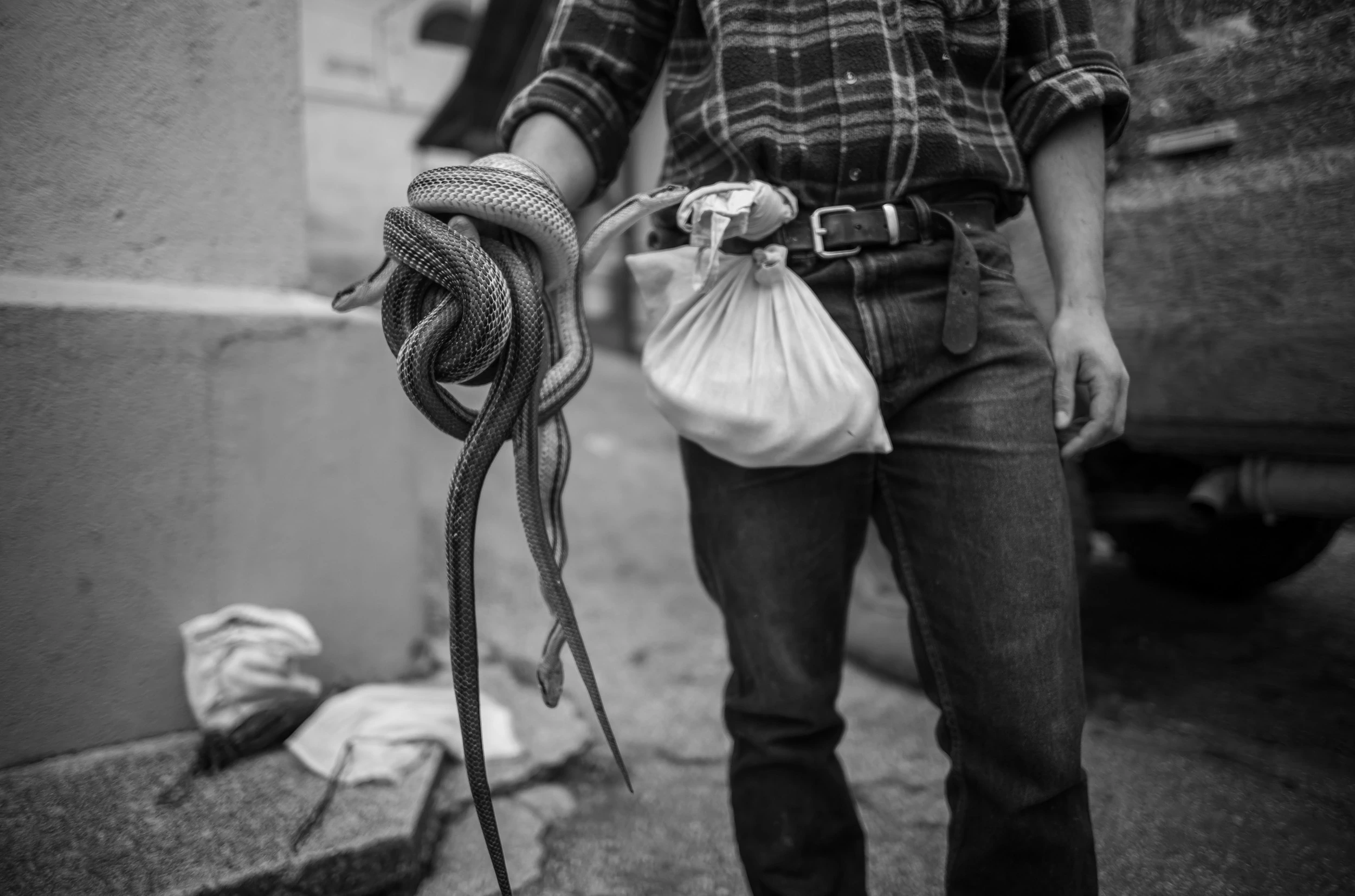 A man holds snakes coiled over his hand, next to a cloth bundle at his belt.