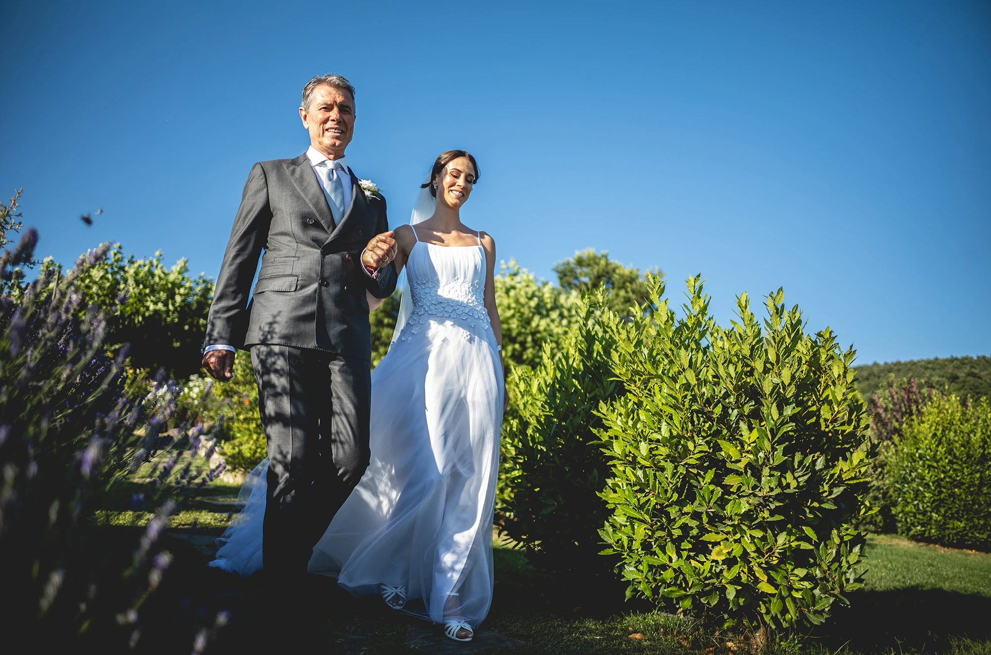 Under a blue sky, the bride walks arm in arm between the hedges.