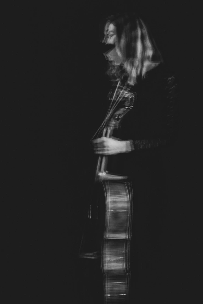 In profile in the dark, the silhouette of the bass.