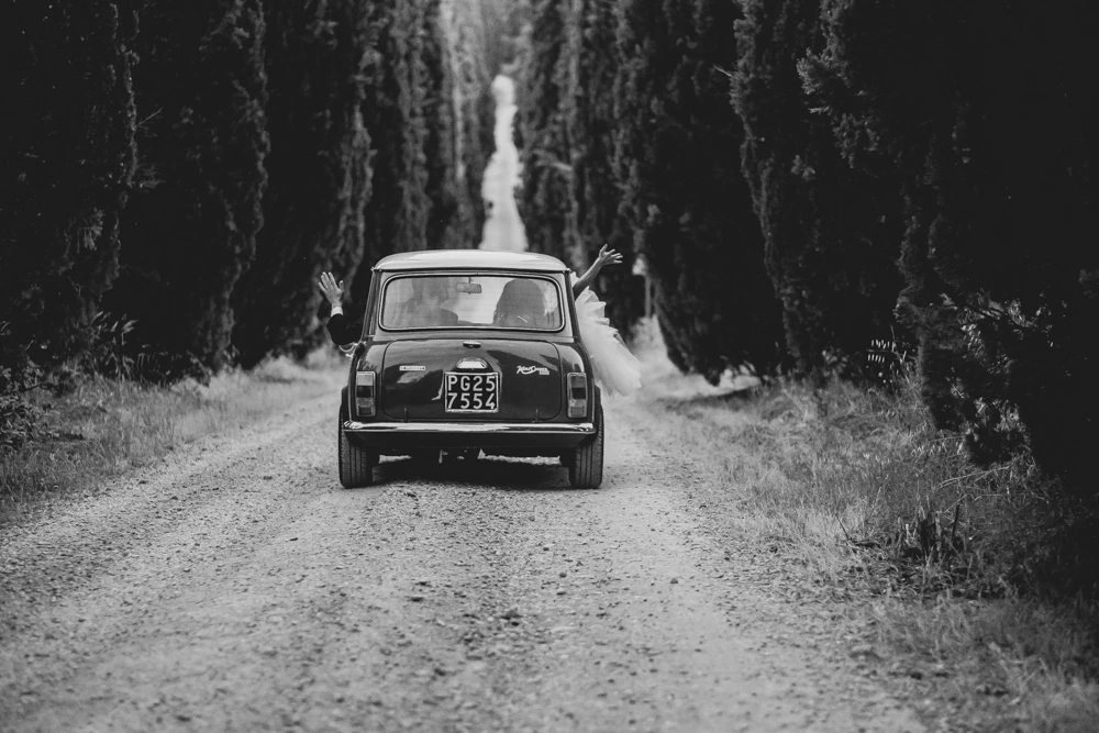 A small car along the gravel road between the cypresses.