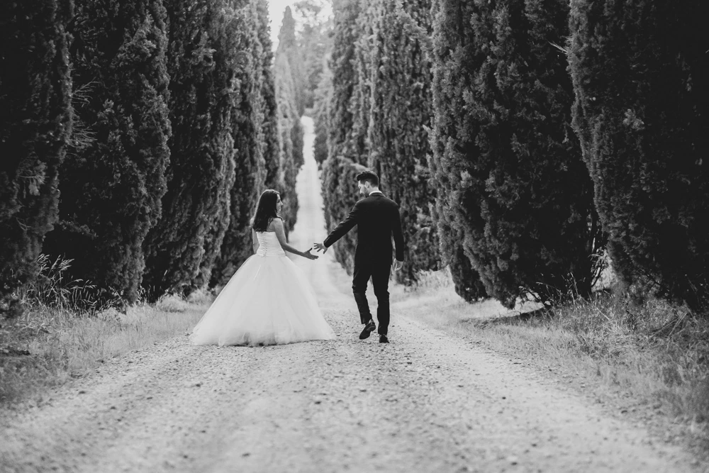 Hand in hand, they walk away down the avenue of cypresses.