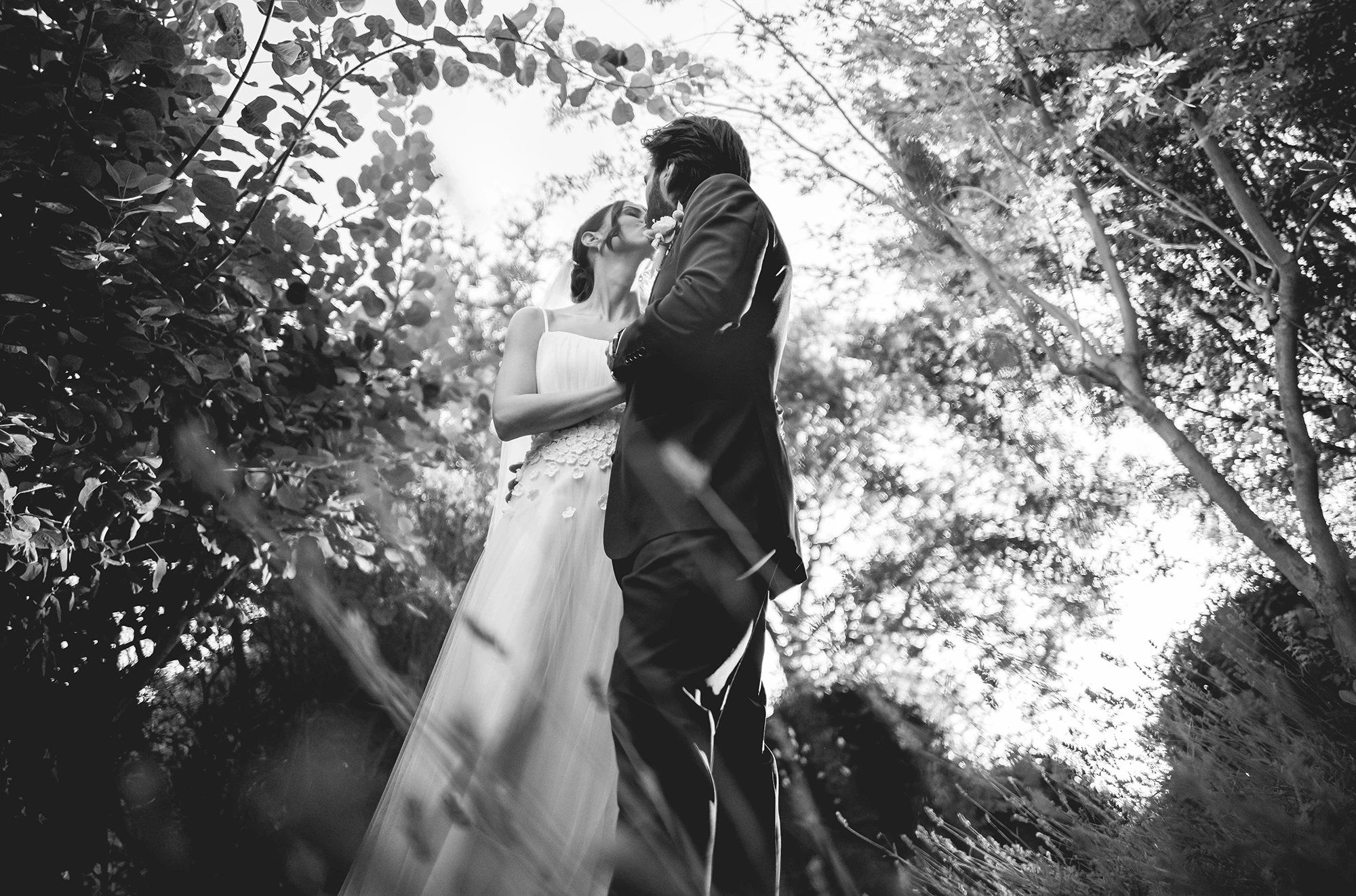 An embrace beneath the branches, backlit.